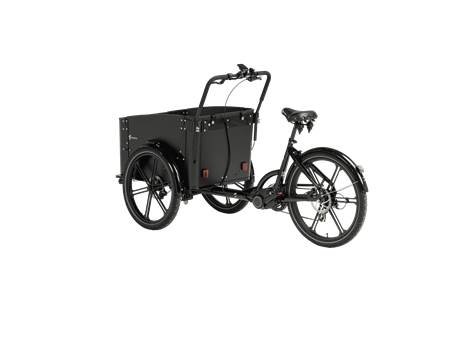 cargobike-delight-dog (14)