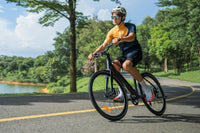 DYU Stroll 1 700C stads-e-bike, 250 W, bereik van 100 km