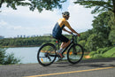 DYU Stroll 1 700C stads-e-bike, 250 W, bereik van 100 km