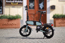 DYU C2 16 inch opvouwbare e-bike, 250 W, bereik van 40 km