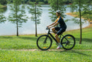 DYU Stroll 1 700C stads-e-bike, 250 W, bereik van 100 km