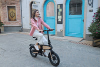 DYU C2 16 inch opvouwbare e-bike, 250 W, bereik van 40 km