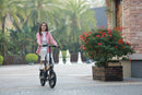 DYU C2 16 inch opvouwbare e-bike, 250 W, bereik van 40 km