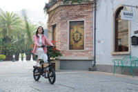 DYU C2 16 inch opvouwbare e-bike, 250 W, bereik van 40 km