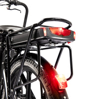 Cargobike of Sweden - Flex Nova Dog – Elektrische Hondenbakfiets