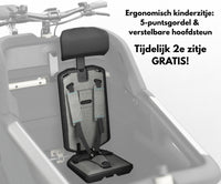 Ca Go FS200 Life Family-Plus - Edition 5 Silk Grey - Bosch CX Cargo Line Belt Drive | DEMO model tot 50km