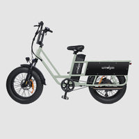 Windgoo - F30 - Longtail