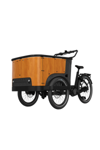 Cangoo - Buckle Up - Elektrische Bakfiets