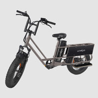 Windgoo - F30 - Longtail