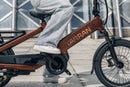 TARRAN - L1s (Superieur) - Longtail