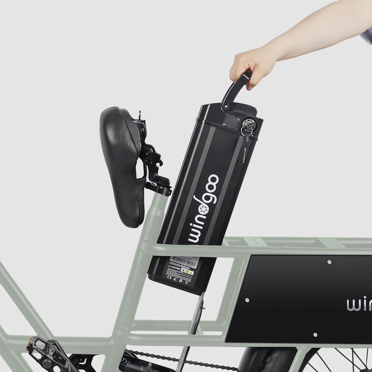 Windgoo - F30 - Longtail -