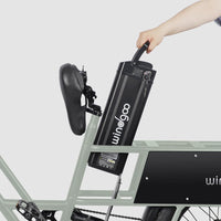 Windgoo - F30 - Longtail -