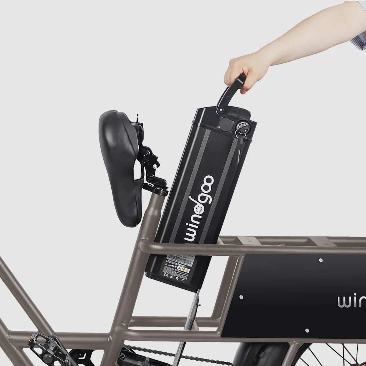 Windgoo - F30 - Longtail