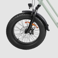 Windgoo - F30 - Longtail -