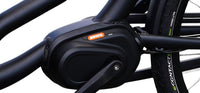 Royal 3W Premium &#8211; groen &#8211; elektrische driewieler bakfiets