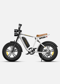 🏍️ ENGWE M20 – Elektrische Fatbike - Zwart - 624Wh Accu - Enkele Accu