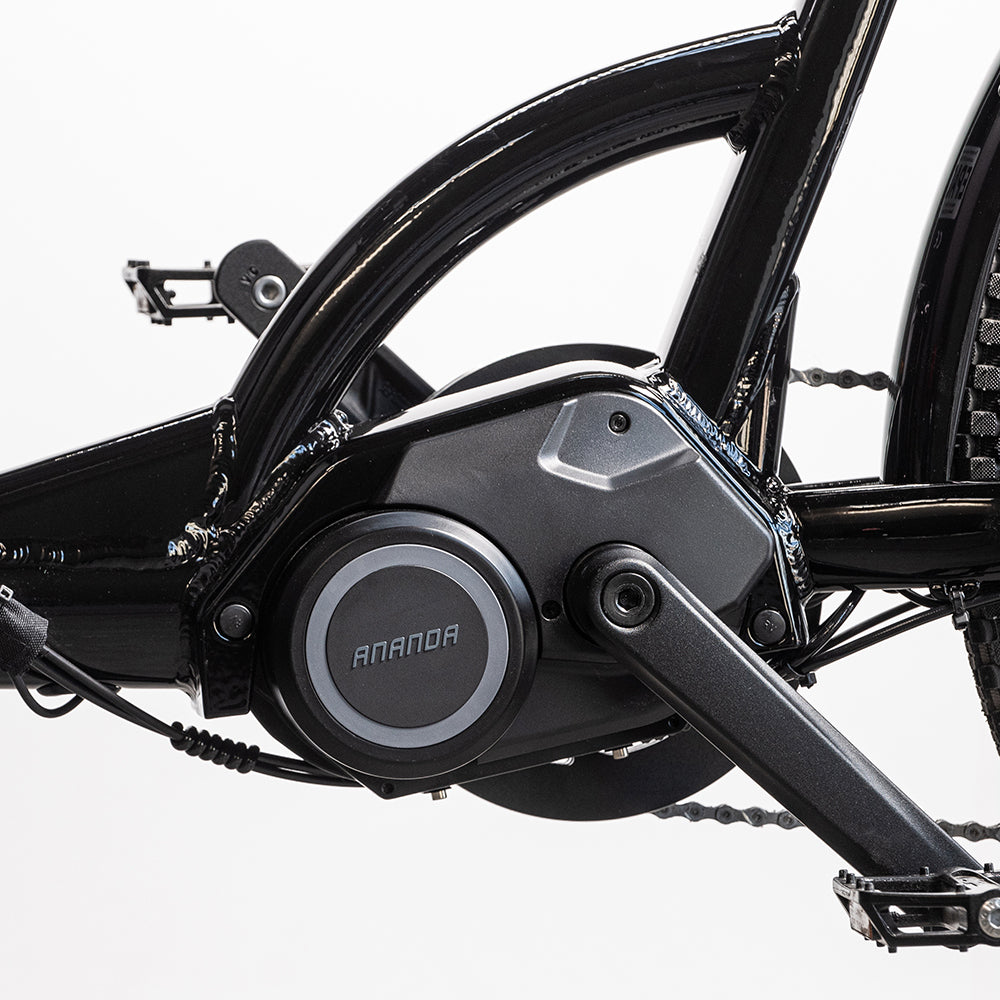 Cargobike-Delight-ananda-motor (1)