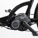 Cargobike-Delight-ananda-motor (1)