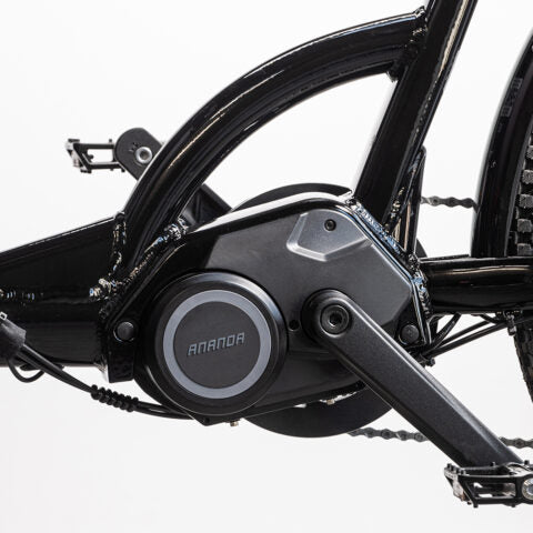 Cargobike-Delight-ananda-motor-480&#215;480