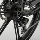 Cargobike of Sweden - Flex - Elektrische bakfiets