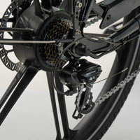 Cargobike of Sweden - Flex - Elektrische bakfiets