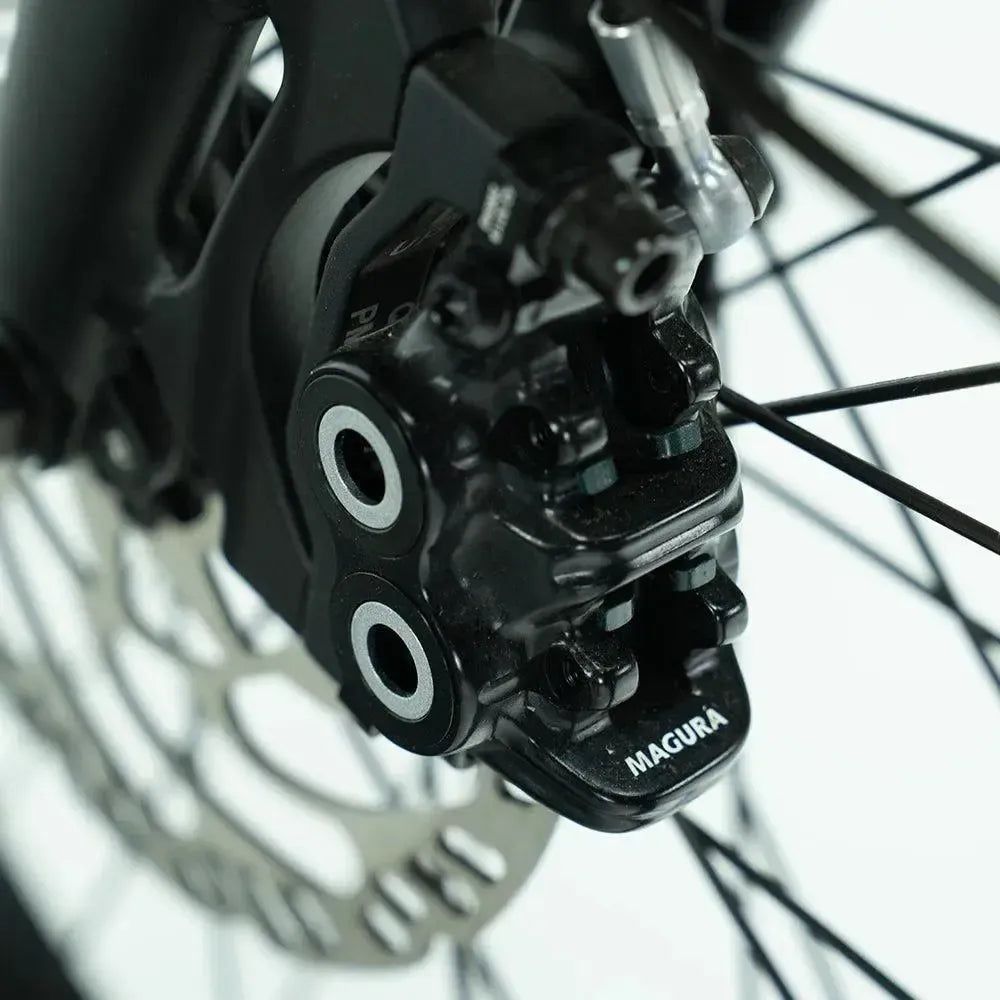 Carlos - Compact - Basic - Longtail - 250 Wh