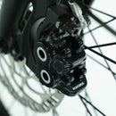 Carlos - Compact - Basic - Longtail - 250 Wh