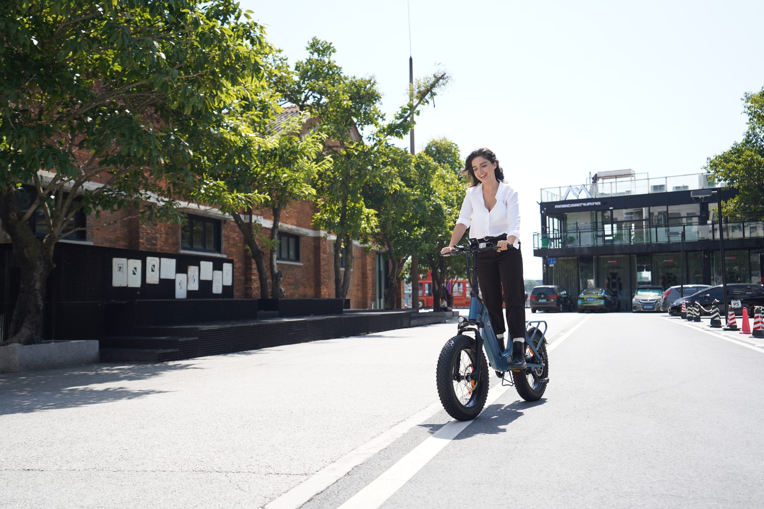 DYU - FF500 - Elektrische Vouwfiets – Opvouwbare 20 Inch E-Bike met 70 KM Actieradius