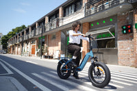 DYU - FF500 - Elektrische Vouwfiets – Opvouwbare 20 Inch E-Bike met 70 KM Actieradius