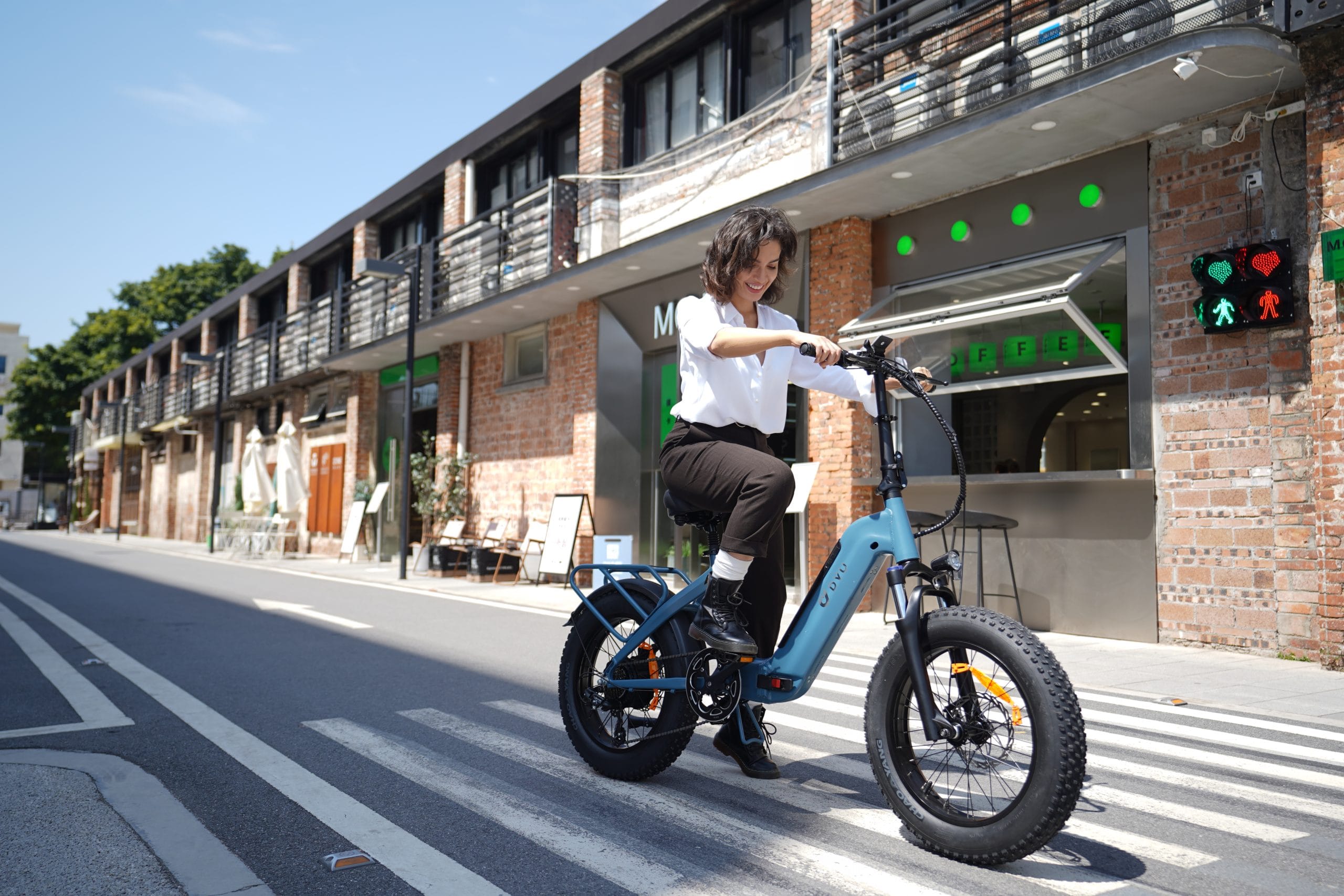 DYU - FF500 - Elektrische Vouwfiets – Opvouwbare 20 Inch E-Bike met 70 KM Actieradius