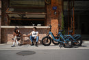 DYU - FF500 - Elektrische Vouwfiets – Opvouwbare 20 Inch E-Bike met 70 KM Actieradius