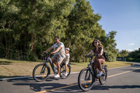 DYU C1 26 inch stads-e-bike, 500 W, bereik van 65 km