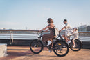 DYU C1 26 inch stads-e-bike, 500 W, bereik van 65 km