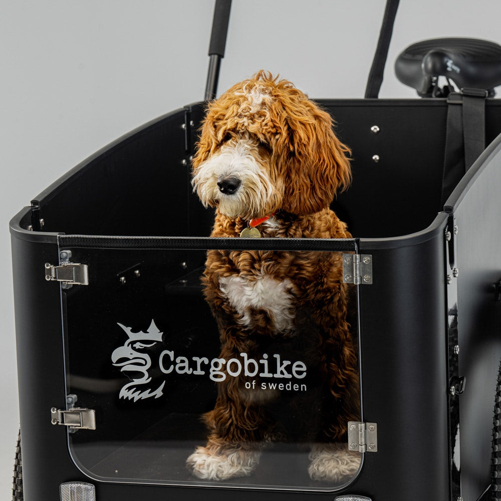 David-Elg-Moob-Cargobike-Delight-Dog-3-2023-S-5.jpg