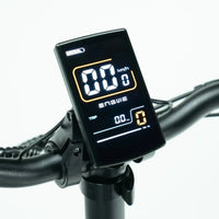 ENGWE L20 3.0 Pro Champagne – Comfortabele e-bike met lage instap
