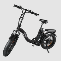 Windgoo - E20 Pro - Zwart - Vouwfiets