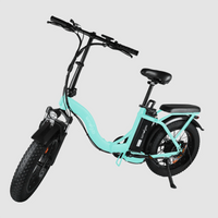 Windgoo - E20 Pro - Mintgroen - Vouwfiets