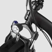 Windgoo - E20 Pro - Zwart - Vouwfiets