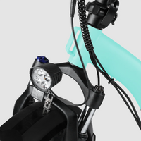 Windgoo - E20 Pro - Mintgroen - Vouwfiets