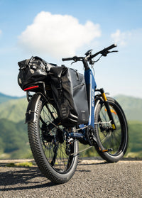 ENGWE E26 3.0 Pro – E-bike – Blauw