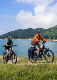 ENGWE E26 3.0 Pro – E-bike – Blauw