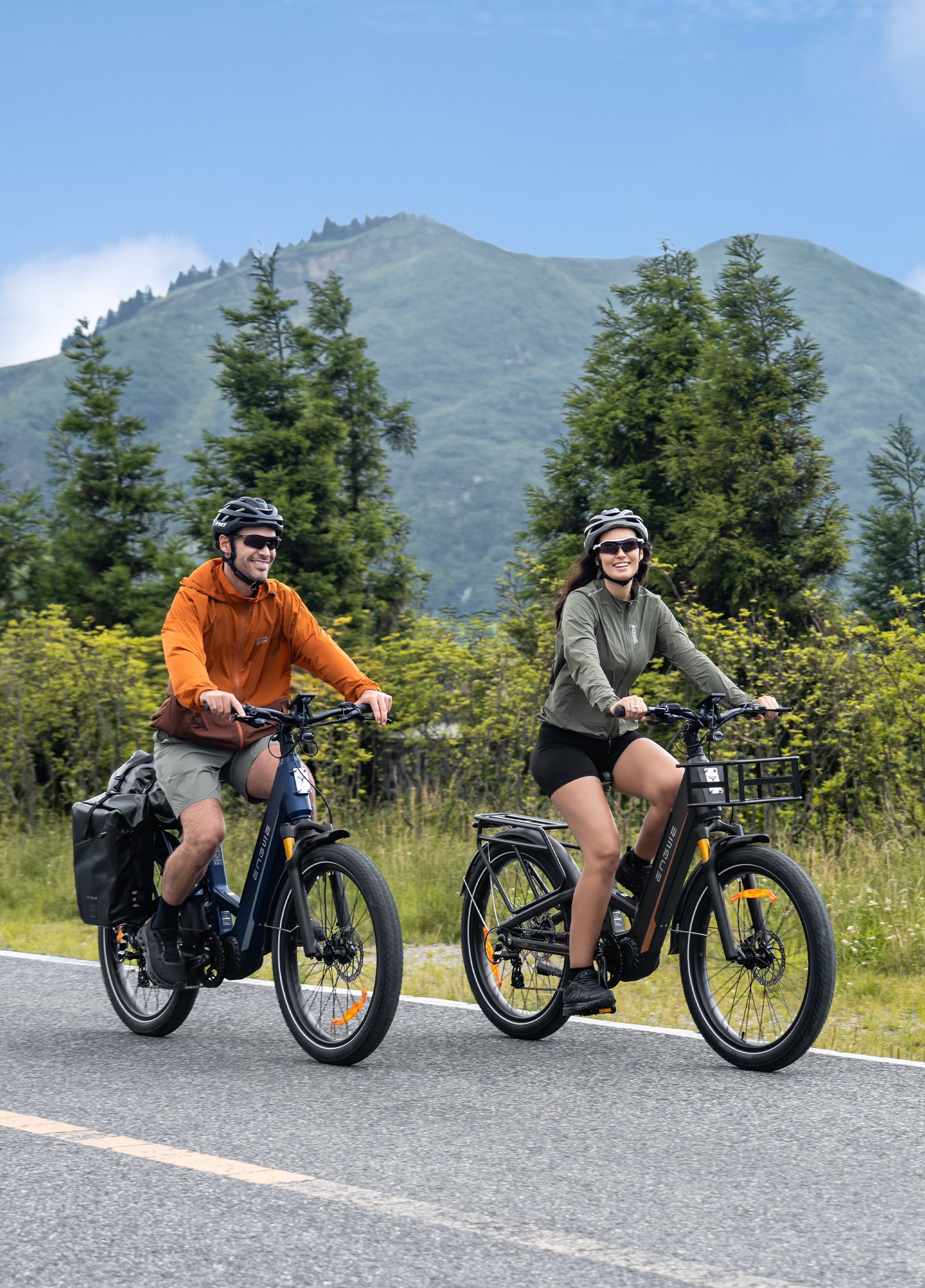 ENGWE E26 3.0 Pro – E-bike – Blauw