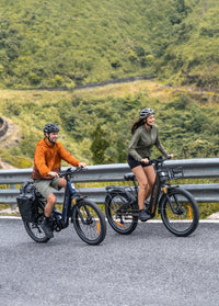 ENGWE E26 3.0 Pro – E-bike – Blauw