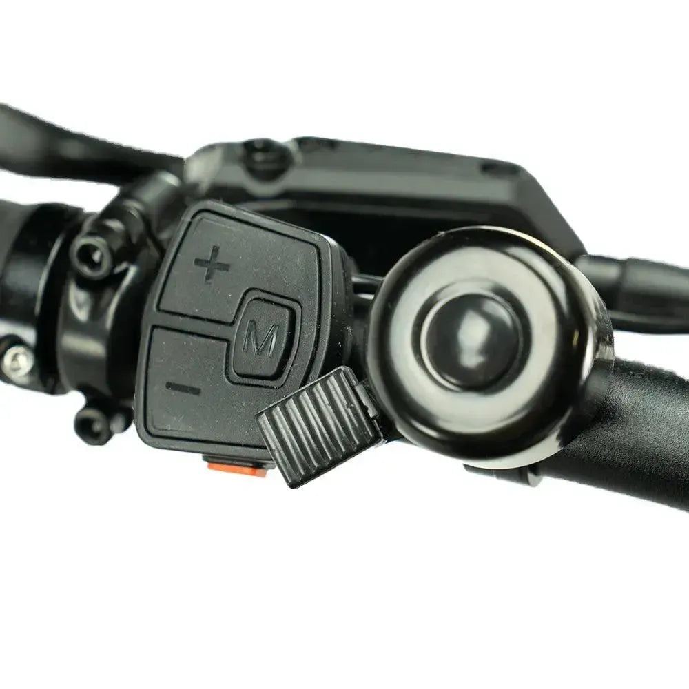 ENGWE LE20 – Longtail – Enkele Accu