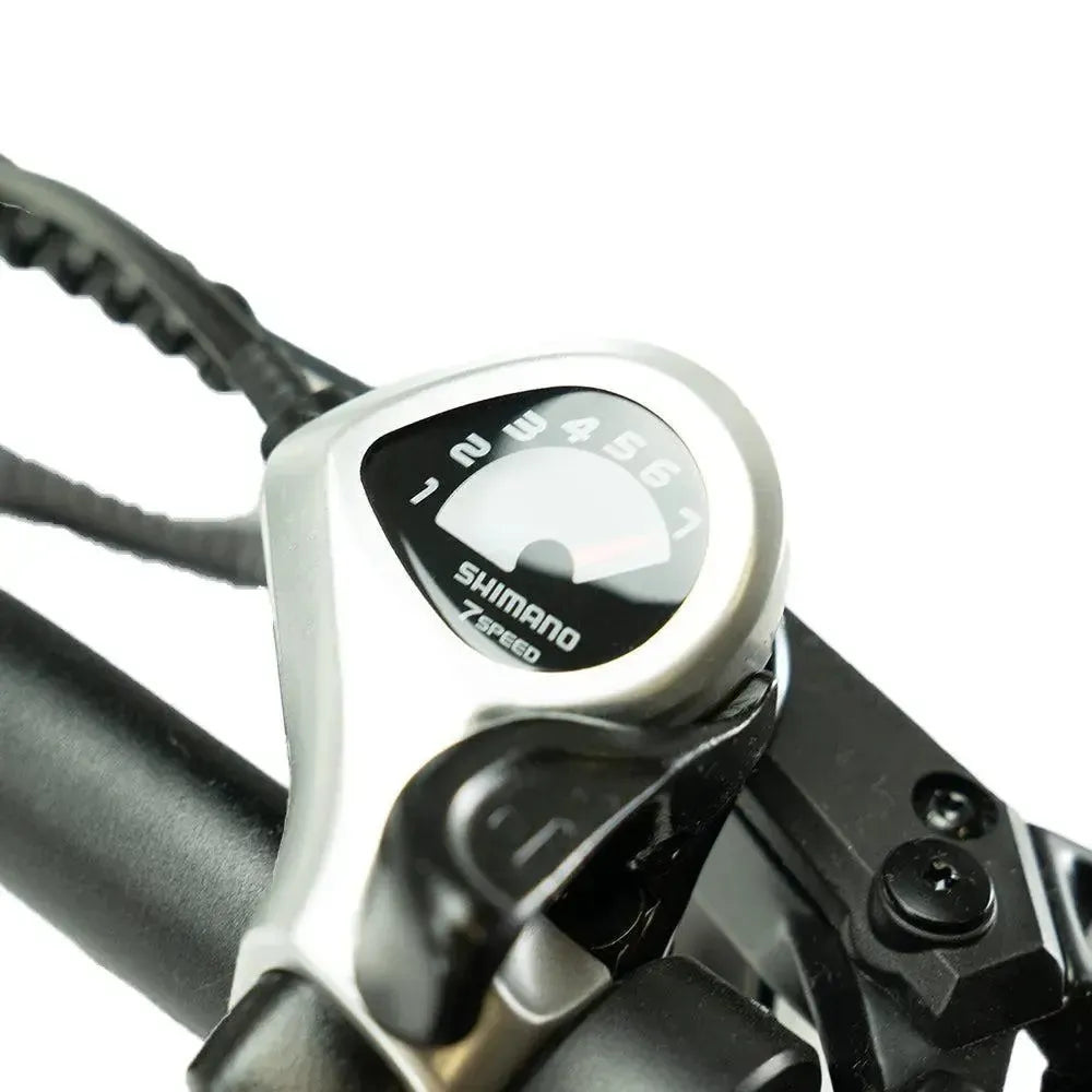 ENGWE LE20 – Longtail – Enkele Accu