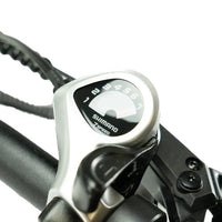 ENGWE LE20 – Longtail – Enkele Accu