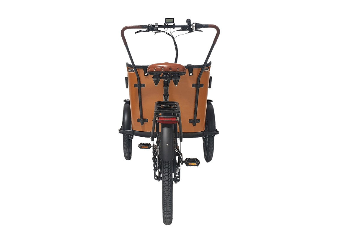 GEOBIKE-MFC_cargo_ArkonaMC1_T2x (1)