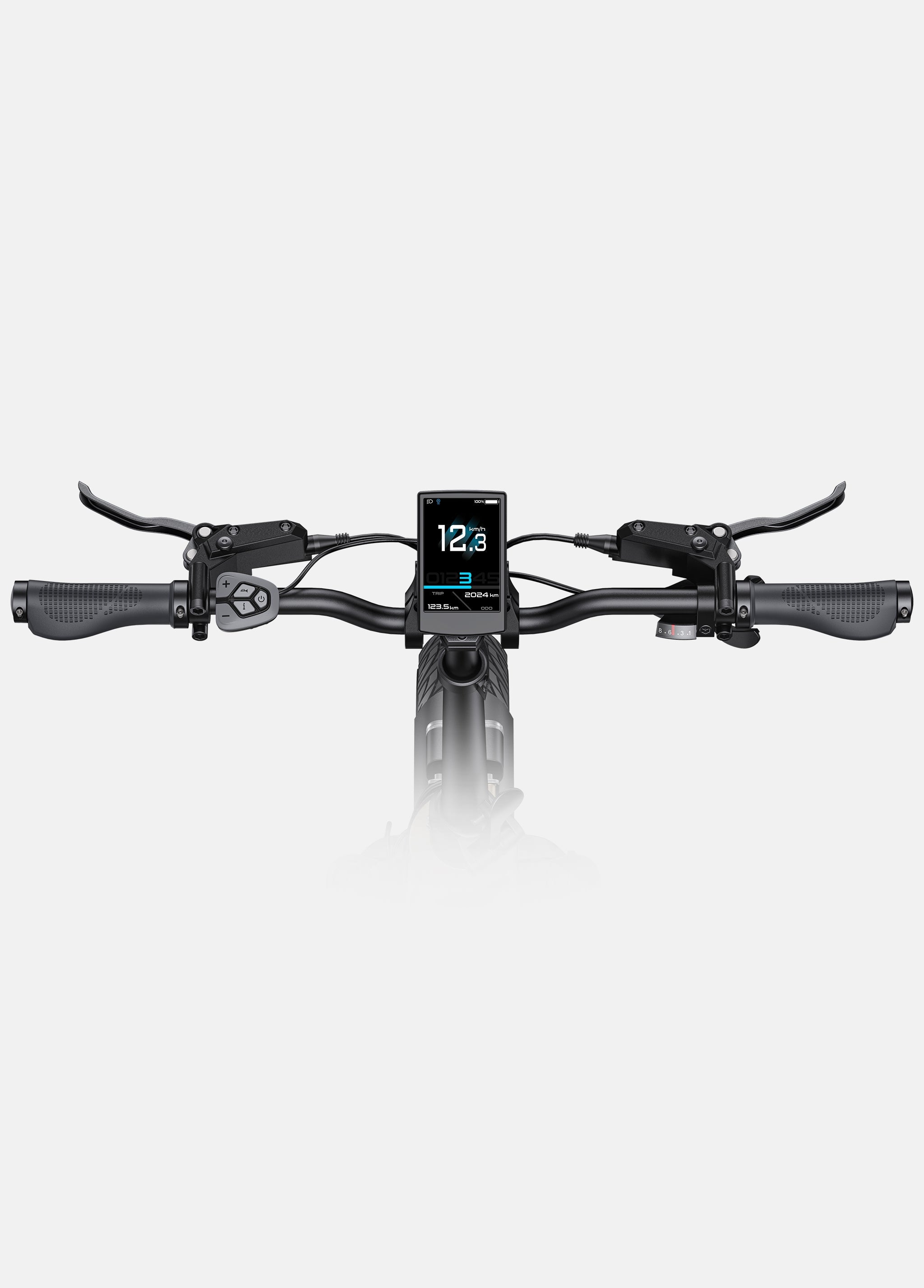 ENGWE L20 3.0 Pro - Zwart – Comfortabele e-bike met lage instap