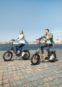 ENGWE L20 3.0 Pro - Zwart – Comfortabele e-bike met lage instap