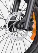 ENGWE L20 3.0 Pro - Zwart – Comfortabele e-bike met lage instap